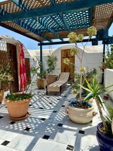 HarqalahにあるL'artisanの鉢植えの植物とパーゴラのあるパティオ