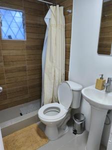 Billede fra billedgalleriet på Hostal milis i Rancagua