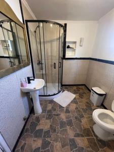 蓬塔阿雷纳斯Casas por día Punta Arenas的带淋浴、水槽和马桶的浴室