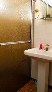 een badkamer met een wastafel en een douche bij Chacara vida nova em Pedro de toledo in Pedro de Toledo