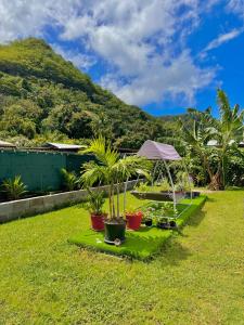 un jardin avec une table et des plantes dans la pelouse dans l'établissement Villa Fare Mananui 2 chambres avec piscine et jardin, à Paea 16 autres photos