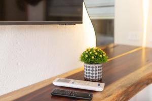 un mando a distancia y una planta sobre una mesa en ONE GATE Pyramids View INN, en El Cairo