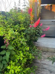 Φωτογραφία από το άλμπουμ του Peaceful house σε Kumeu +4 φωτογραφίες