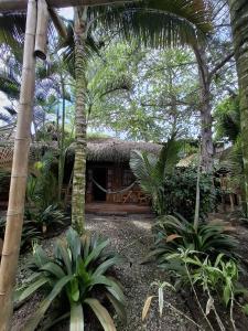 Zahrada ubytování Hostal Rosa Mística + 67 fotografií