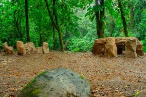 Naturlandskabet i nærheden af hotellet
