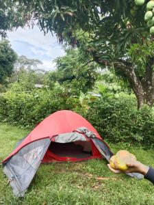 Fotografie z fotogalerie ubytování La carpa de Nilo v destinaci Nilo