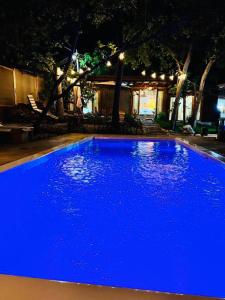 a large blue swimming pool in a yard at night at Punta Surf Cabañas & Glamping in Brisas de Zicatela