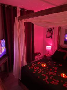 1 dormitorio con 1 cama con iluminación roja y TV en Suite romantique La Maison de Flora SPA intérieur, jardin et lit King size, en Rousson