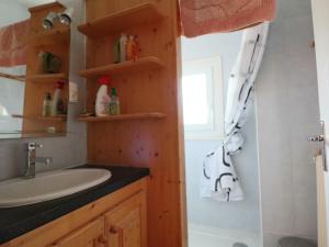 ein Badezimmer mit Waschbecken und Dusche in der Unterkunft Charmante maison familiale à La Bourboule - FR-1-858-15 in La Bourboule + 19 Fotos