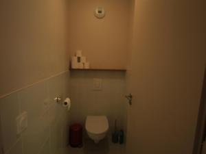 une petite salle de bain avec toilettes dans une chambre dans l'établissement Chalet Montagne avec Terrasse et Parking - FR-1-858-29, à Mont-Dore