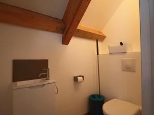 une petite salle de bain avec toilettes et lavabo dans l'établissement Maison neuve 4* pour 6 personnes au Mont Dore avec terrasse - FR-1-858-5, à Mont-Dore 15 autres photos