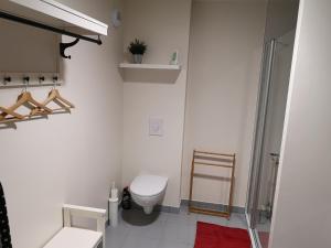 une salle de bain blanche avec toilettes et douche dans l'établissement Appartement 2 pièces avec jardin et parking, proche Thermes et ski - FR-1-858-18, à Mont-Dore