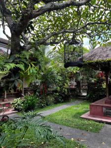 a bird cage hanging from a tree in a garden at Batan Bingin House in Ubud