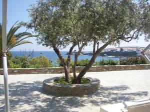 a tree in a stone planter next to the ocean at Vassiliki Studios in Andros