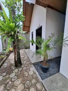 Zahrada ubytování Mini Village