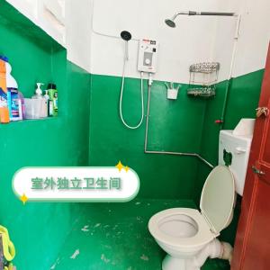 a green bathroom with a toilet and a shower at 玖月舒苑 in Sibu