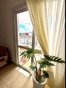 a window with two potted plants in front of it at Departamento Cómodo y Centrico in Posadas