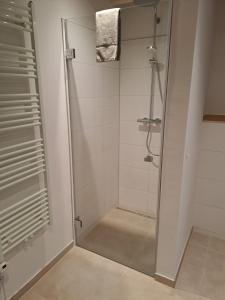 a shower with a glass door in a bathroom at Gulfhof Wangermeer 2 Tilda in Hohenkirchen +37 photos