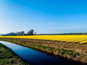 Φυσικό τοπίο κοντά σε αυτό το διαμέρισμα