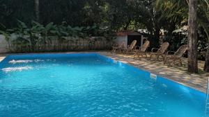 a blue swimming pool with chairs in a yard at Arohha in Mandrem
