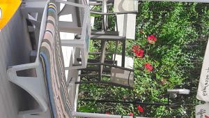 Zahrada ubytování Family Hotel Eliri