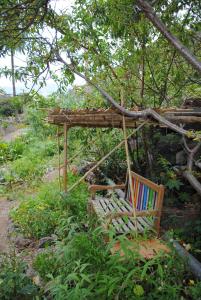 a bench with books sitting under a tree at Hostal Casa Amaya in Vallehermoso