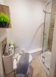 Ένα μπάνιο στο Moon One bedroom Apartment with Access to Garden Close to Town Train Hospital Long Booking Welcome