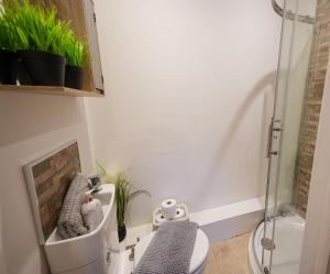 Ένα μπάνιο στο Moon One bedroom Apartment with Access to Garden Close to Town Train Hospital Long Booking Welcome