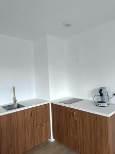 Η κουζίνα ή μικρή κουζίνα στο Le 70s 2 pièces proche Colmar