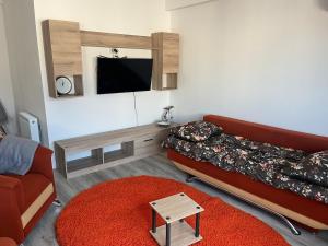 a living room with a couch and a flat screen tv at AN Studio in Craiova