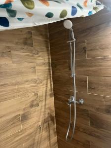 a shower in a room with a bed at AN Studio in Craiova
