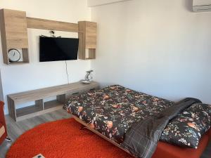 a bedroom with a bed and a tv on the wall at AN Studio in Craiova