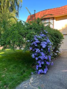 Fotografie z fotogalerie ubytování Spacious and bright suite with independent access v destinaci Delta