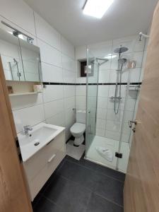 une salle de bains avec douche, lavabo et toilettes dans l'établissement Apartament Zaharia Ötztal, à Tumpen
