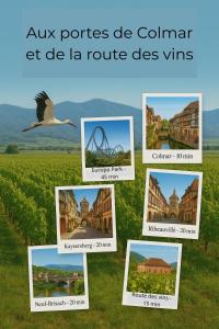 Φωτογραφία από το άλμπουμ του Le Box Office 2 pièces proche Colmar σε Holtzwihr