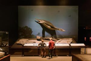 Gallery image of Hyatt Place Bozeman Yellowstone Airport in Belgrade +19 photos