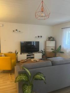 un salon avec un canapé et une télévision dans l'établissement Lamaisondubois31, à Pibrac 1 autre photo