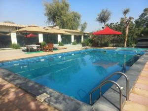 a large swimming pool with a red umbrella at إستراحة الريف in Kalbā