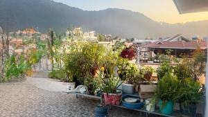 Nespecifikovaný výhled na hory nebo výhled na hory při pohledu z apartmánu