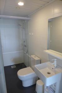 a bathroom with a toilet and a sink and a shower at Käsmu Võrkneeme Apartments in Käsmu +32 photos