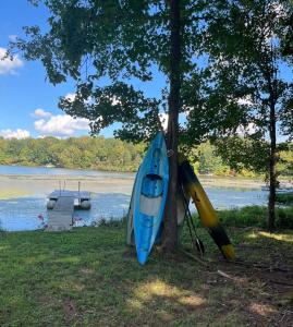 een blauwe kano en een gele buis naast een boom bij Lake House Hide Away in Roxboro