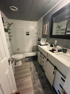 een badkamer met een wastafel, een toilet en een douche bij Lake House Hide Away in Roxboro