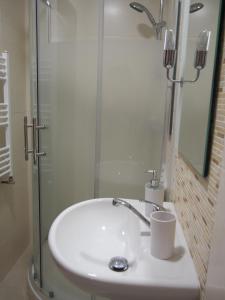 y baño con lavabo y ducha acristalada. en Museum Inn, en Praga