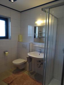 a bathroom with a toilet and a sink and a shower at Haus Kieler in Schladming