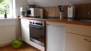 a kitchen with a stove and a microwave on a counter at Villa Regina in Schierke