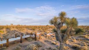 Fotografie z fotogalerie ubytování Stylish, Spa, Cowboy Pool Flamingo Social Club v destinaci Yucca Valley + 44 fotografií