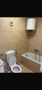 a bathroom with a toilet and a bath tub at Apartman Herceg Novi Capital in Kamenari