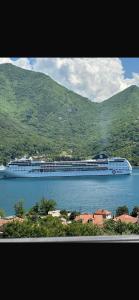 a large cruise ship in a large body of water at Apartman Herceg Novi Capital in Kamenari