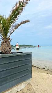 a palm tree sitting on a beach next to the water at Casa sul fiume in Gorgo