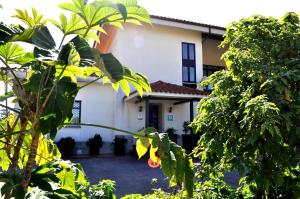 a house seen through the trees at La Chopera in Ribadesella